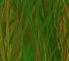 Lions Lair Slot, Tiger Treasure Slot