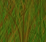 Lions Lair Slot, Tiger Treasure Slot